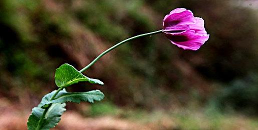 《使命召唤19》PS5版经常崩溃 而且有延迟